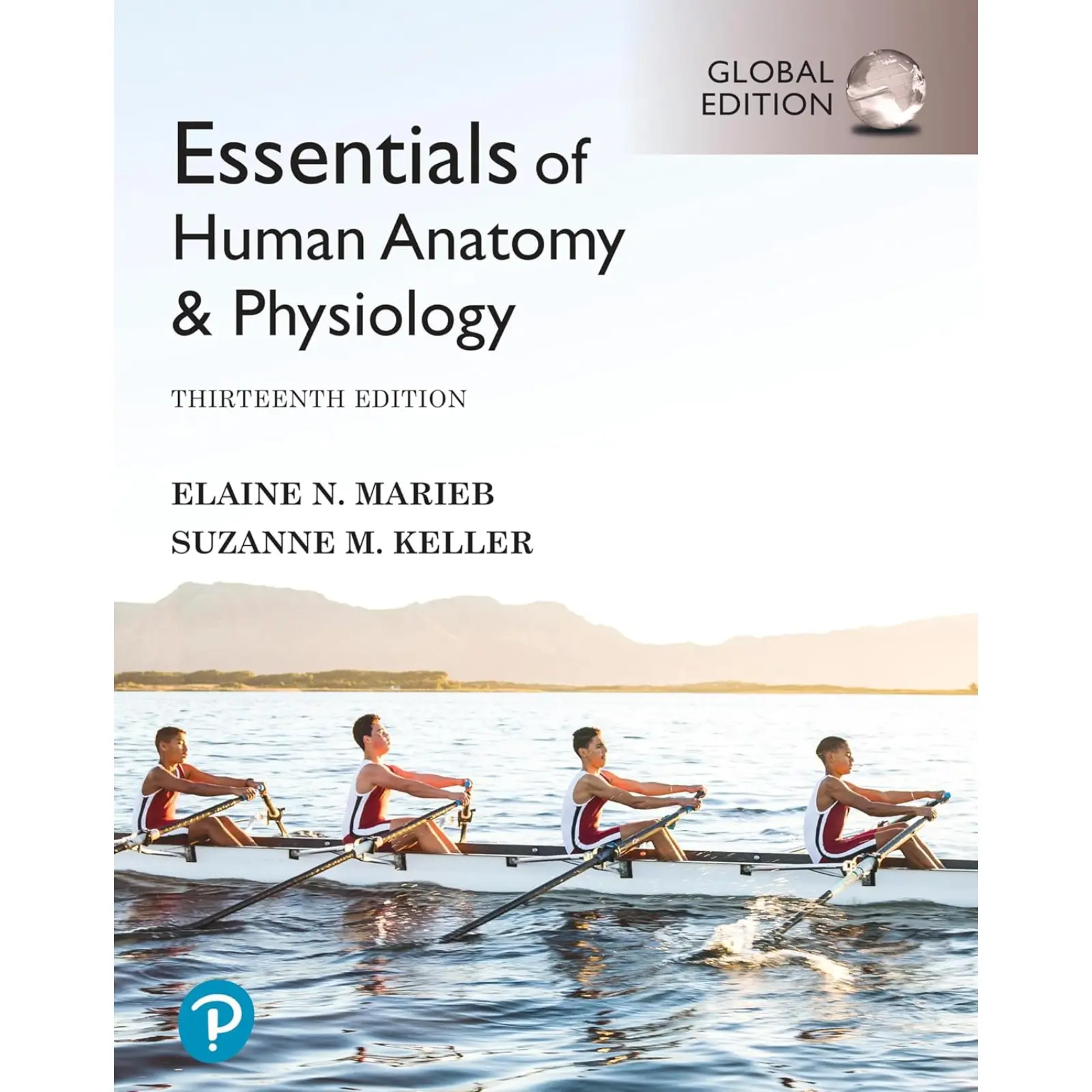 Untitled design (43) Essentials of Human Anatomy & Physiology 13th - Image 1