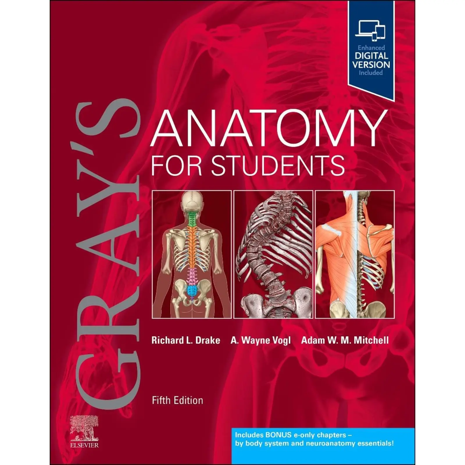 ser Gray's Anatomy for Students 5th Edition - Image 1